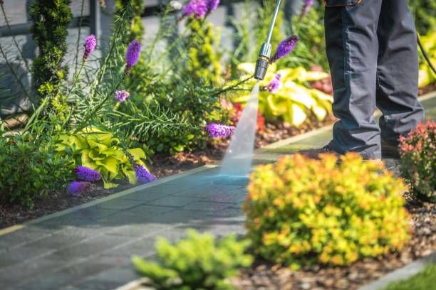 Best Dumpster Area Cleaning  in Big Bear City, CA