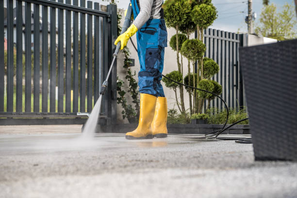 Best Rust Removal  in Big Bear City, CA